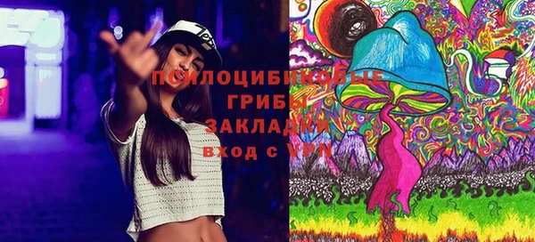 хмурый Няндома