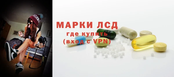 хмурый Няндома