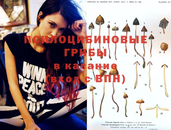 прущая мука Абинск