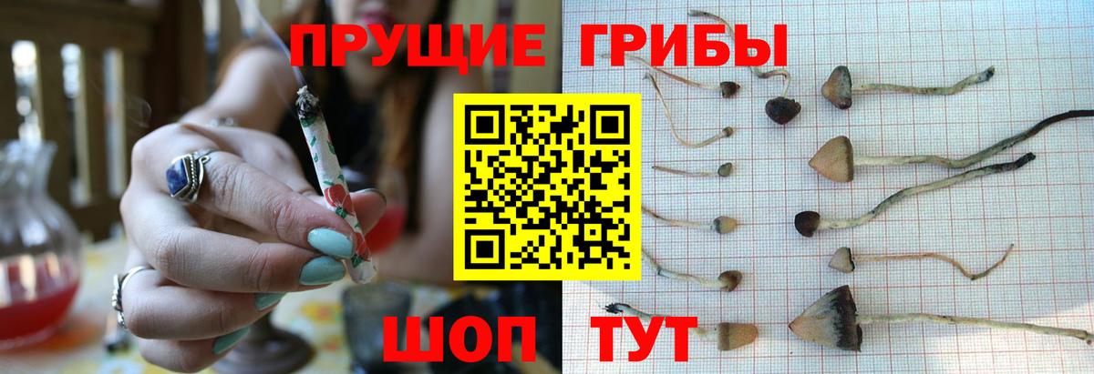 цены   Псилоцибиновые грибы Psilocybe  Вход с VPN  Усть-Кут 